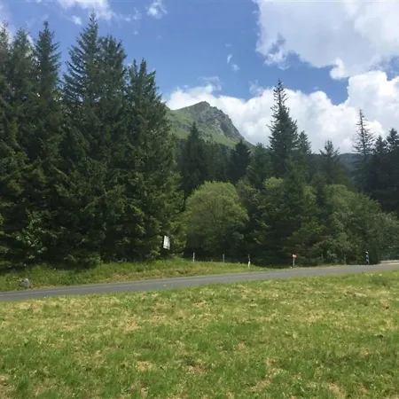 Apartment Au Pied Des Pistes Du Mont-dore, 4 Couchages, Balcon, Local A Skis - Fr-1-415-64 *