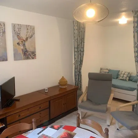 Apartment Au Pied Des Pistes Du Mont-dore, 4 Couchages, Balcon, Local A Skis - Fr-1-415-64 Le Mont-Dore